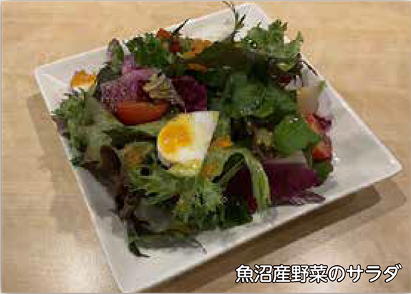 魚沼産野菜のサラダ